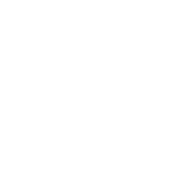 主な特徴